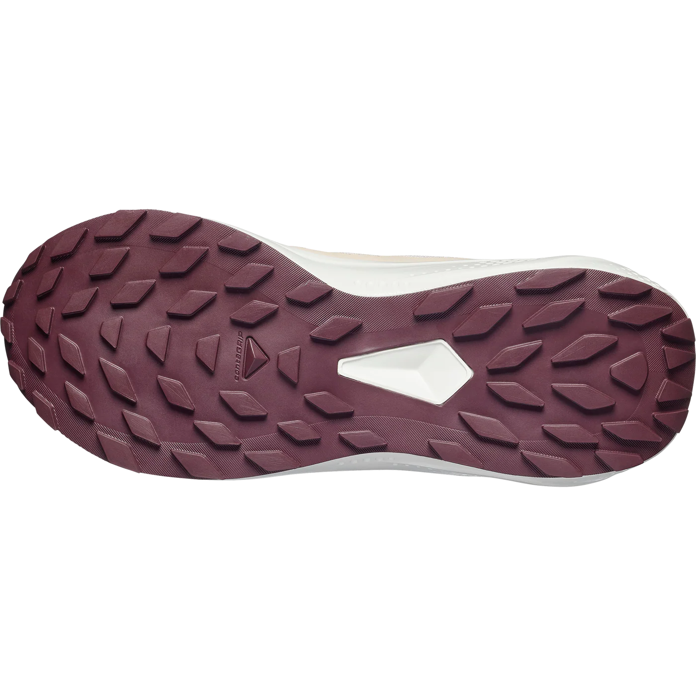 Salomon Alphaglide Tapioca/Dawn Pink/Huckleberry