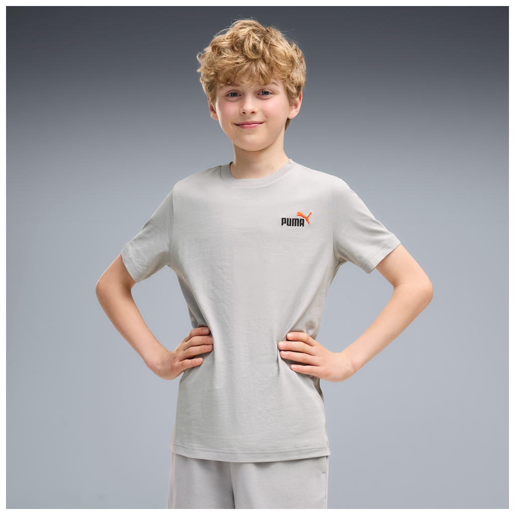 Puma ESS 2 Color Small No.1 Logo Gray