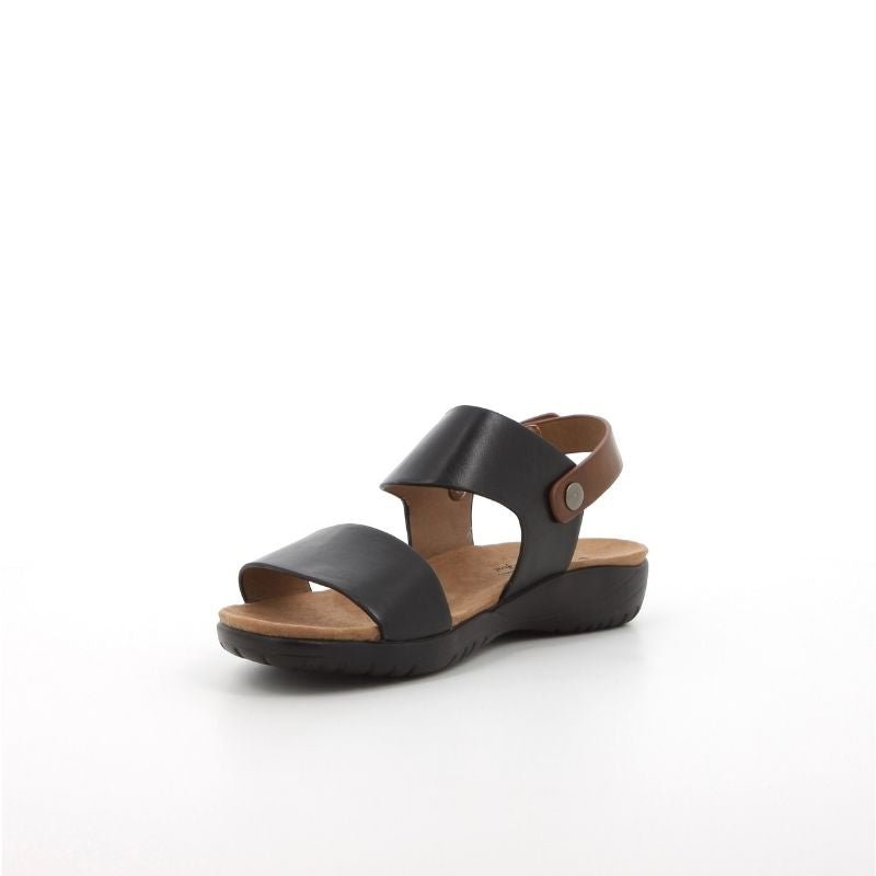 Pierre Cardin 10617 Black (Kia) - Shazem - WOMENS SANDALS - PIERRE CARDIN