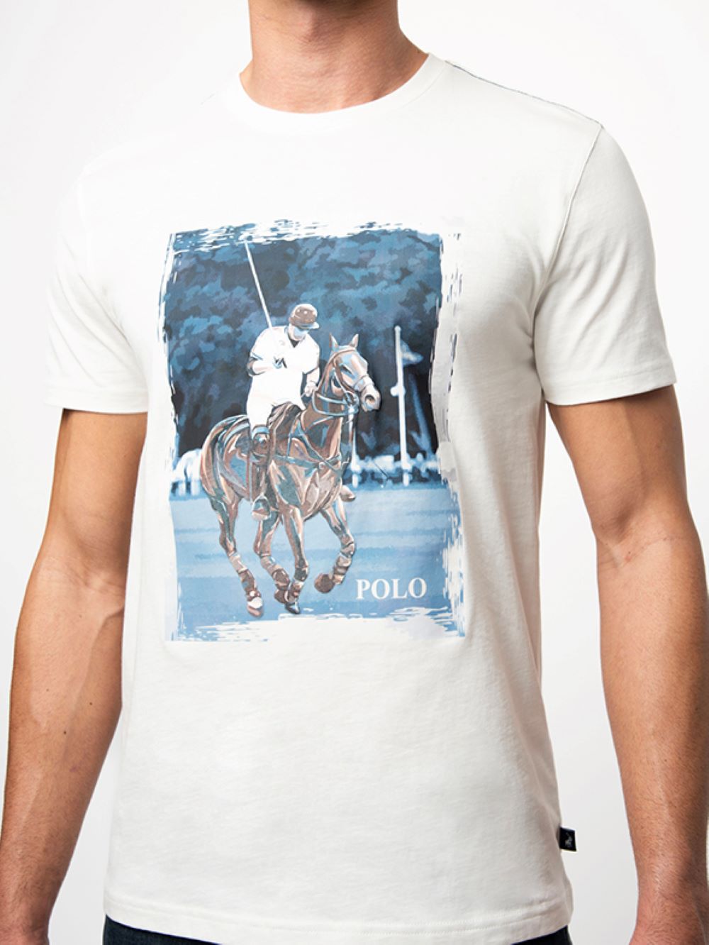 Polo Banks Printed Graphic Tee White