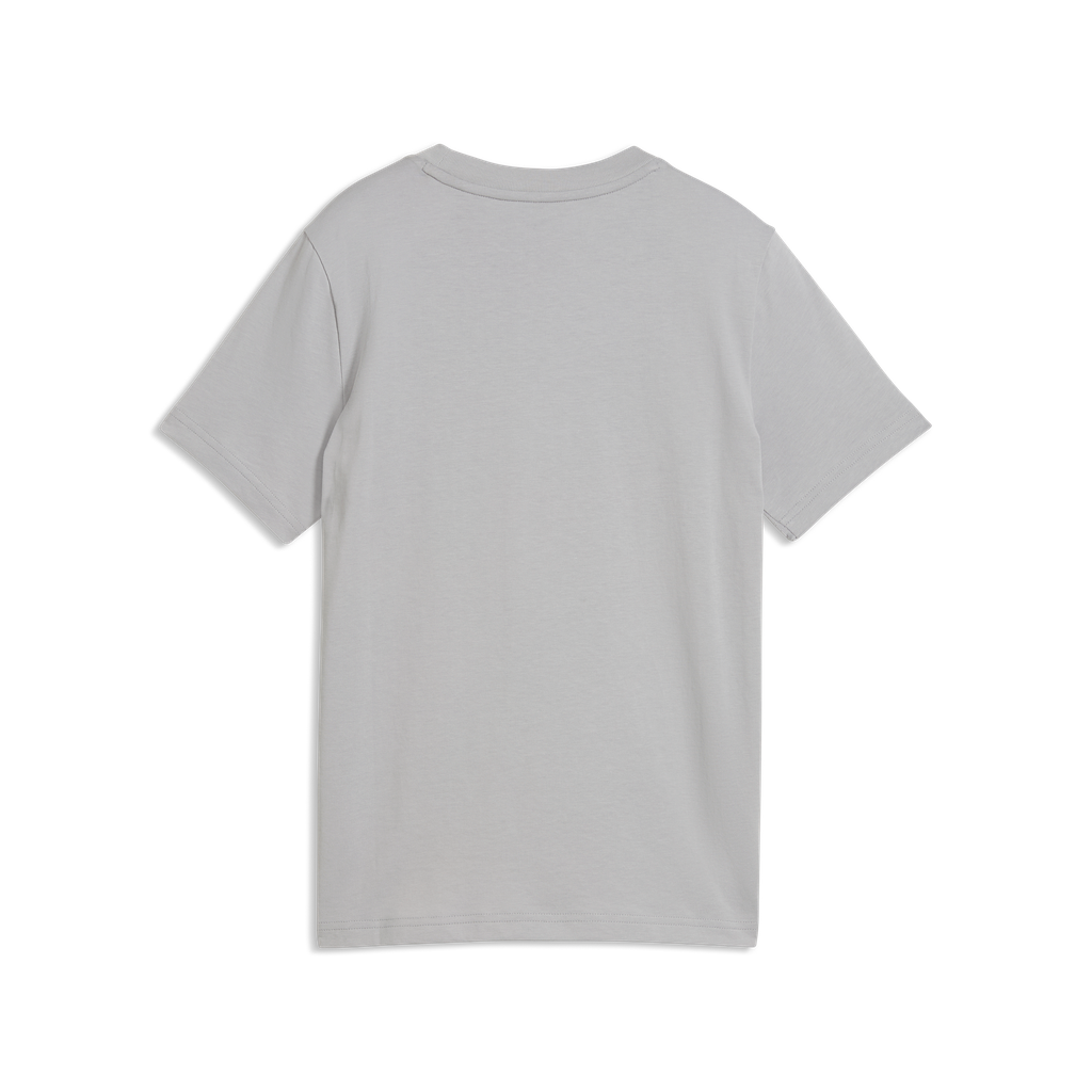 Puma ESS 2 Color Small No.1 Logo Gray