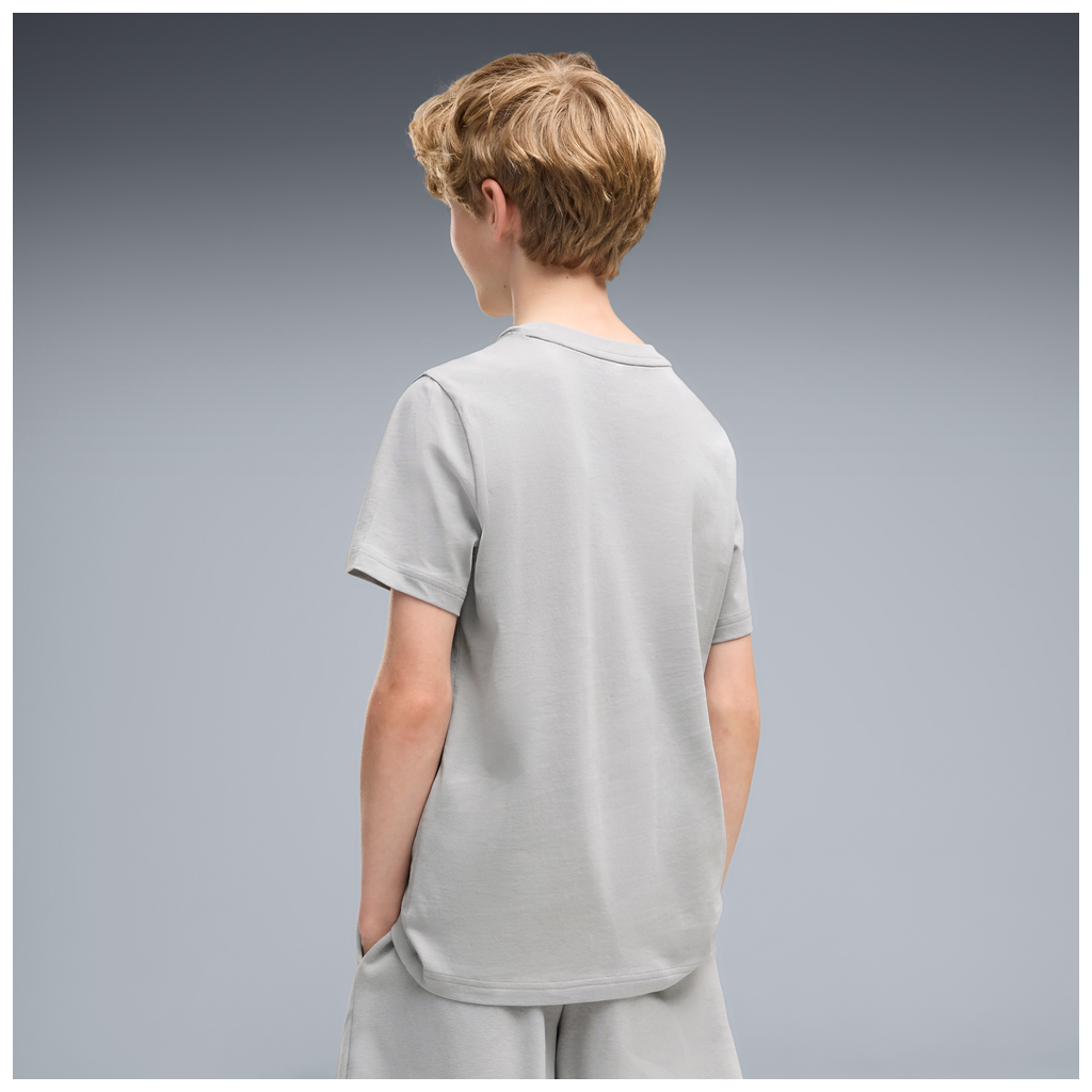 Puma ESS 2 Color Small No.1 Logo Gray