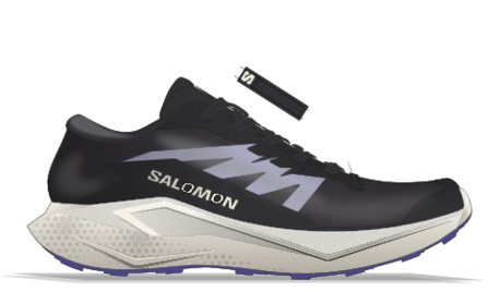 SALOMON FL ALPHAGLIDE ICE - Shazem